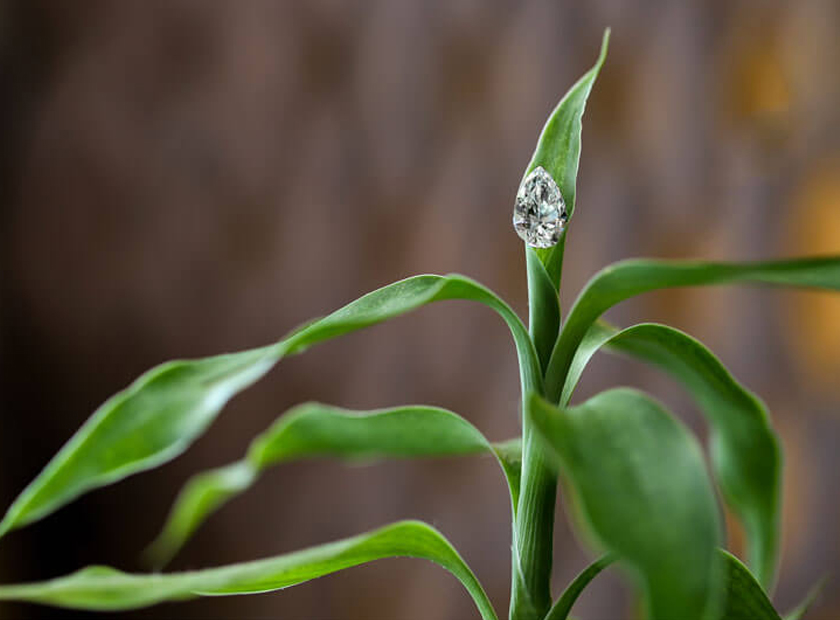 Why Are Lab-Created Diamonds Called Eco-Friendly Diamonds?