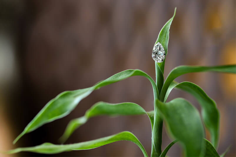 Why Are Lab-Created Diamonds Called Eco-Friendly Diamonds
